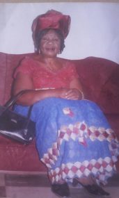 Mrs. Mary Nwamadi